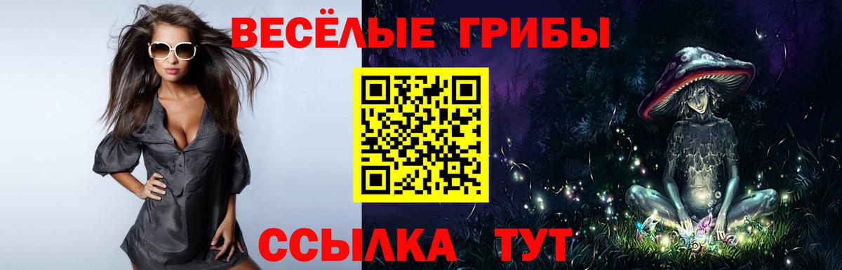 Псилоцибиновые грибы ЛСД  Вход с VPN  Киров  Галлюциногенные грибы Psilocybine cubensis 